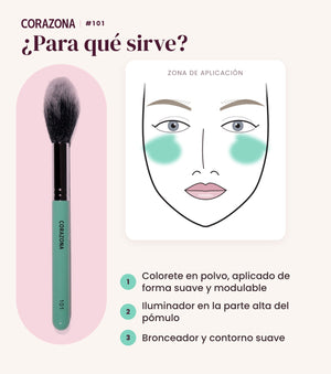 Brocha para iluminador y colorete #101 CORAZONA - infografía para qué sirve