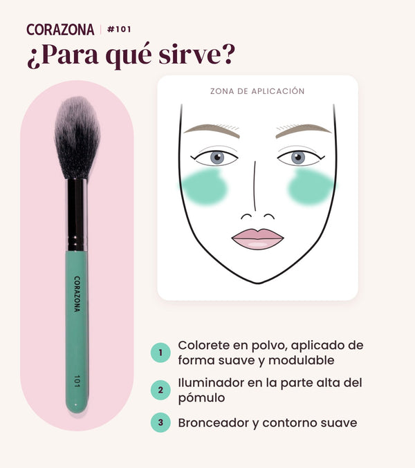 Brocha para iluminador y colorete #101 CORAZONA - infografía para qué sirve