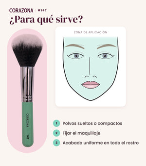 Brocha para polvos #147 CORAZONA - infografía para qué sirve