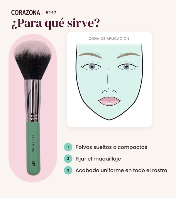 Brocha para polvos #147 CORAZONA - infografía para qué sirve