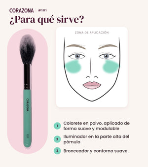Highlighter & Blush Brush #101 - CorazonaBeauty