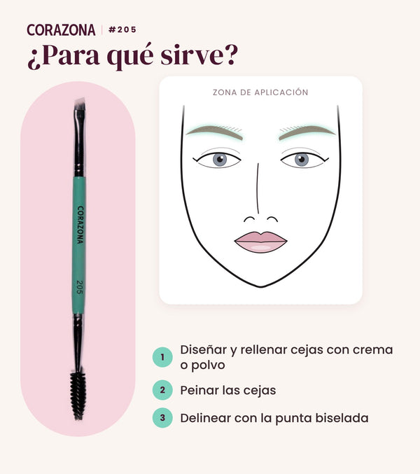 Pincel biselado y cepillo para cejas #205 CORAZONA - infografía para qué sirve