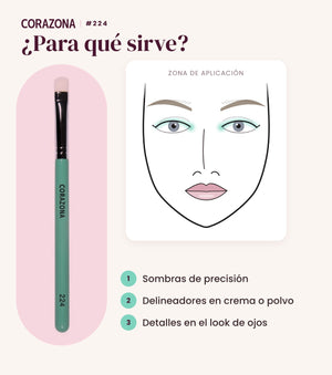 Pincel de detalle #224 CORAZONA - infografía para qué sirve