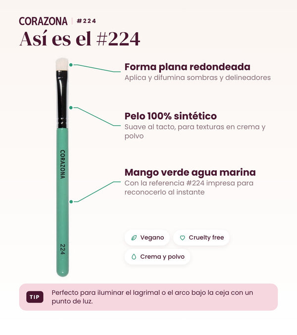 Pincel de detalle #224 CORAZONA - infografía detalles