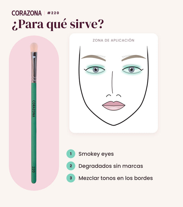 Pincel de sombras de precisión #220 CORAZONA - infografía para qué sirve