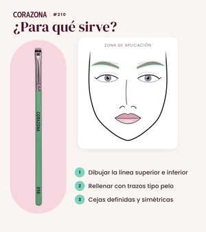 Pincel para cejas #210 CORAZONA - infografía para qué sirve