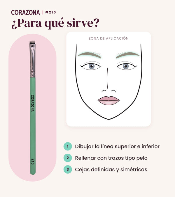 Pincel para cejas #210 CORAZONA - infografía para qué sirve