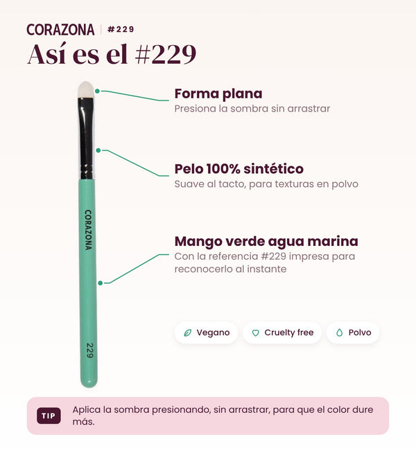 Pincel plano #229 CORAZONA - infografía detalles