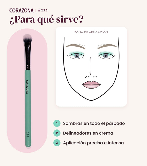 Pincel plano grande #225 CORAZONA - infografía para qué sirve