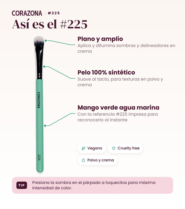 Pincel plano grande #225 CORAZONA - infografía detalles