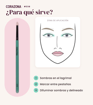 Pincel tipo boli #238 CORAZONA - infografía para qué sirve