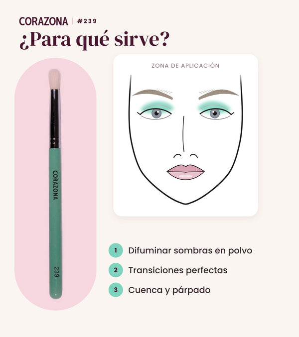 Pincel tipo boli grande #239 CORAZONA - infografía para qué sirve